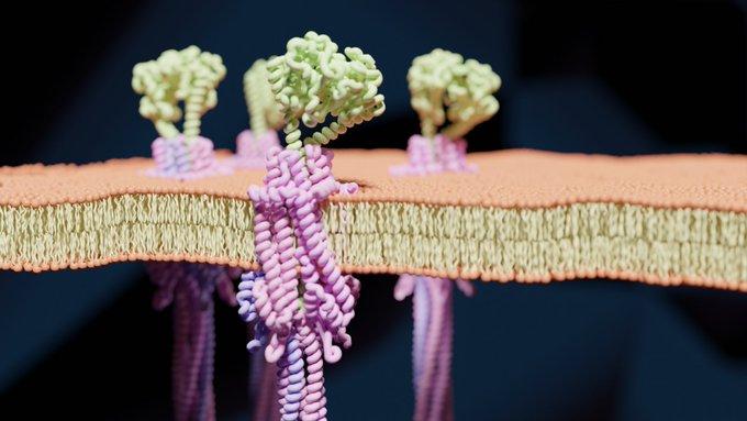 3rd cryoNET course on advanced single particle cryoEM analysis